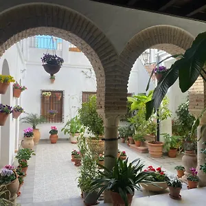  Apartment El Patio De Regina Spain